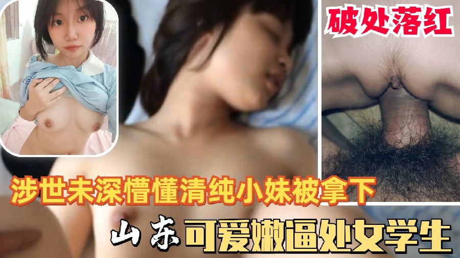 Cute shame clear Shandong high school girl student virgin was taken down red by pig arch white meal